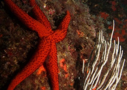 Racó de les Salines